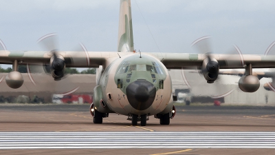 Photo ID 84515 by Niels Roman / VORTEX-images. Oman Air Force Lockheed C 130H Hercules L 382, 502