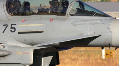 Photo ID 84580 by Richard Sanchez Gibelin. Spain Air Force Eurofighter CE 16 Typhoon EF 2000T, CE 16 06