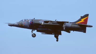 Photo ID 85533 by Klemens Hoevel. UK Air Force Hawker Siddeley Harrier GR 3, ZD667