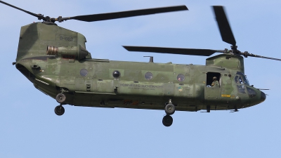 Photo ID 85748 by Rainer Mueller. Netherlands Air Force Boeing Vertol CH 47D Chinook, D 663