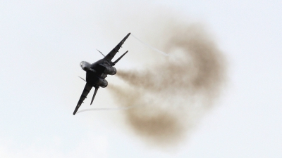 Photo ID 1122 by Scott Rathbone. Hungary Air Force Mikoyan Gurevich MiG 29,  