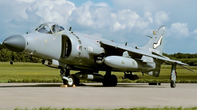 Photo ID 12242 by Rainer Mueller. UK Navy British Aerospace Sea Harrier FA 2, ZH800