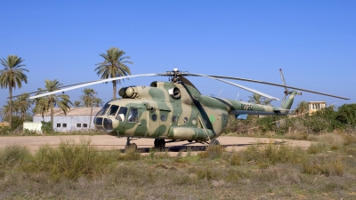 Photo ID 12638 by Chris Lofting. Libya Air Force Mil Mi 8T, 8220