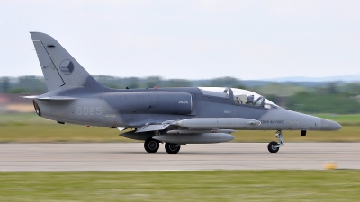 Photo ID 99483 by Radim Spalek. Czech Republic Air Force Aero L 159A ALCA, 6065