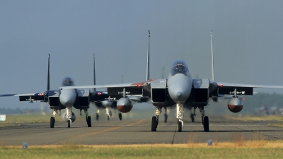 Photo ID 13131 by Frank Noort. Japan Air Force McDonnell Douglas F 15DJ Eagle, 32 8080