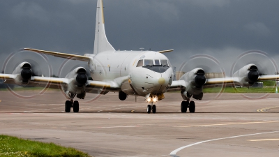 Photo ID 102570 by Alex van Noye. Germany Navy Lockheed P 3C Orion, 60 01