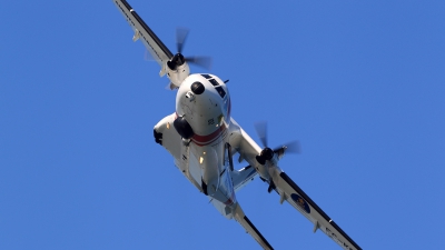 Photo ID 102918 by Helder Afonso. Spain Maritime Safety and Rescue Agency CASA CN235 300MPA Persuader, EC KEL