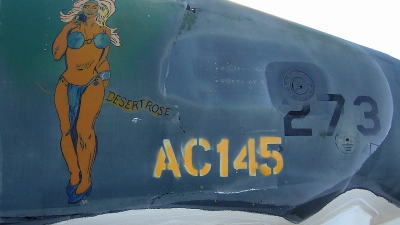 Photo ID 109868 by Peter Boschert. USA Air Force Fairchild A 10A Thunderbolt II, 77 0273