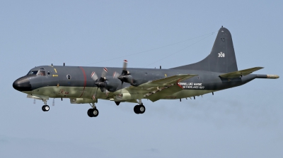 Photo ID 14703 by Jaco Haasnoot. Netherlands Navy Lockheed P 3C Orion, 308