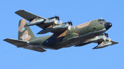 Photo ID 114507 by Favio Rivas. Argentina Air Force Lockheed KC 130H Hercules L 382, TC 70