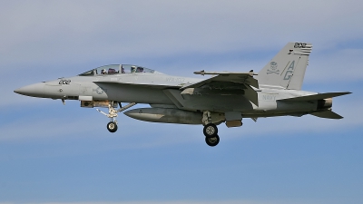 Photo ID 115665 by David F. Brown. USA Navy Boeing F A 18F Super Hornet, 166622