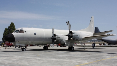 Photo ID 116933 by Fernando Sousa. Portugal Air Force Lockheed P 3P Orion, 14806