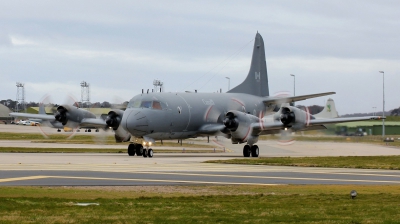 Photo ID 118305 by Mike Macdonald. Canada Air Force Lockheed CP 140 Aurora, 140116