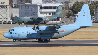 Photo ID 121146 by Lars Kitschke. Japan Air Force Lockheed C 130H Hercules L 382, 75 1077