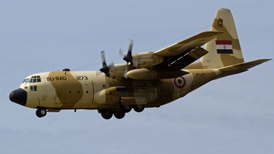 Photo ID 122816 by Roel Kusters. Egypt Air Force Lockheed C 130H Hercules L 382, 1273