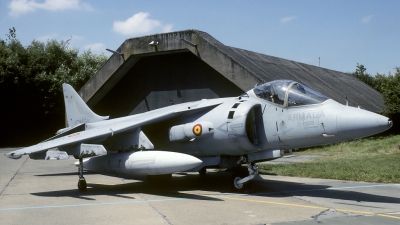 Photo ID 125652 by Joop de Groot. Spain Navy McDonnell Douglas EAV 8B Harrier II, VA 1B 20