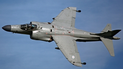 Photo ID 125613 by David F. Brown. Private Nalls Aviation Inc British Aerospace Sea Harrier FA 2, N94422