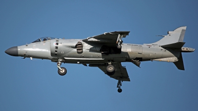 Photo ID 125614 by David F. Brown. Private Nalls Aviation Inc British Aerospace Sea Harrier FA 2, N94422