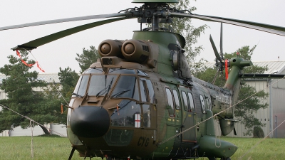 Photo ID 125861 by Coert van Breda. France Army Aerospatiale AS 532UL Cougar, 2290