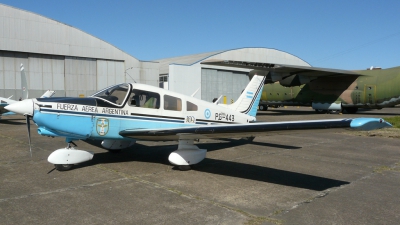 Photo ID 126641 by Martin Kubo. Argentina Air Force Piper PA 28 236 Dakota, PG 443