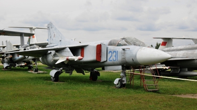 Photo ID 128177 by Martin Thoeni - Powerplanes. Russia Air Force Mikoyan Gurevich MiG 23MF, 231 BLUE