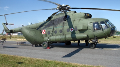 Photo ID 128500 by Chris Albutt. Poland Army Mil Mi 17AE, 607