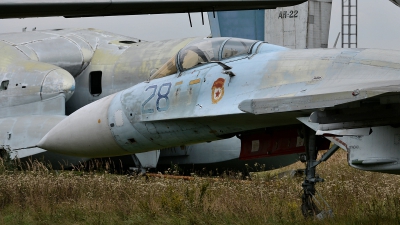 Photo ID 129461 by Martin Thoeni - Powerplanes. Russia Air Force Sukhoi Su 27, 28 BLUE