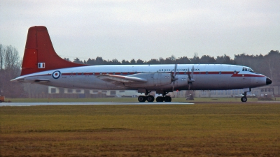 Photo ID 17040 by Ralf Manteufel. UK Air Force Bristol 175 Britannia 312F, XX367