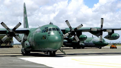 Photo ID 133966 by Carl Brent. Brazil Air Force Lockheed KC 130H Hercules L 382, 2461