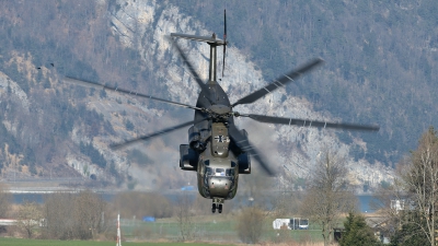 Photo ID 139003 by Martin Thoeni - Powerplanes. Germany Army Sikorsky CH 53G S 65, 84 57