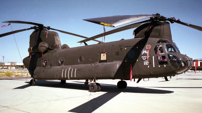 Photo ID 18158 by Michael Baldock. USA Army Boeing Vertol CH 47D Chinook, 84 24159