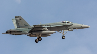 Photo ID 139623 by Steven Valinski. Australia Air Force McDonnell Douglas F A 18A Hornet, A21 16