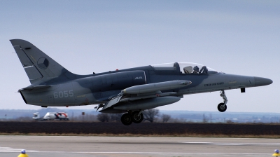 Photo ID 18388 by Milan Nykodym. Czech Republic Air Force Aero L 159A ALCA, 6055