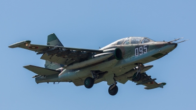 Photo ID 141535 by Gyula Rácz. Bulgaria Air Force Sukhoi Su 25UBK, 095