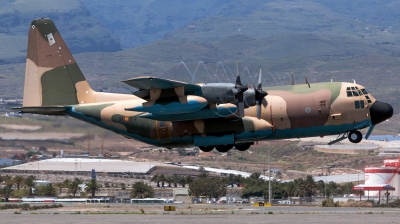 Photo ID 142956 by Bartolomé Fernández. Spain Air Force Lockheed C 130H Hercules L 382, TK 10 05