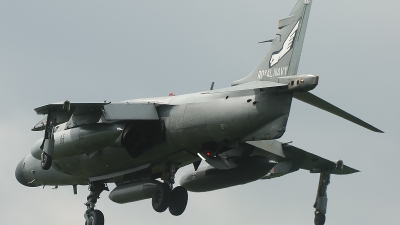 Photo ID 143477 by Sven Zimmermann. UK Navy British Aerospace Sea Harrier FA 2, ZH800