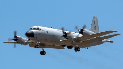 Photo ID 143639 by Bartolomé Fernández. Brazil Air Force Lockheed P 3AM Orion, 7206