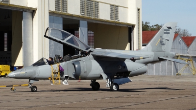 Photo ID 144173 by Martin Kubo. Argentina Air Force FMA AT 63 Pampa, E 805