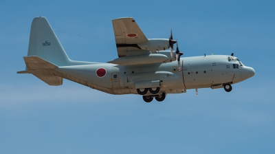 Photo ID 145105 by Steven Valinski. Japan Navy Lockheed C 130R Hercules L 382, 61 9051