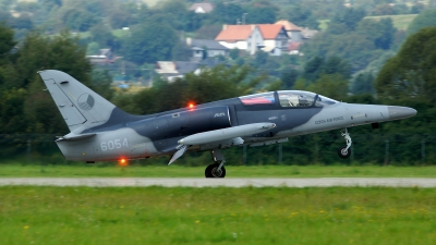 Photo ID 145528 by Lukas Kinneswenger. Czech Republic Air Force Aero L 159A ALCA, 6054