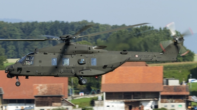 Photo ID 148142 by Thomas Ziegler - Aviation-Media. Italy Army NHI UH 90A NH 90TTH, MM81544