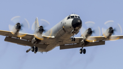 Photo ID 149214 by Richard Sanchez Gibelin. Spain Air Force Lockheed P 3M Orion, P 3M 12