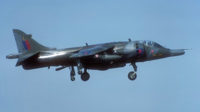 Photo ID 153646 by Rainer Mueller. UK Air Force Hawker Siddeley Harrier GR 3, XV793