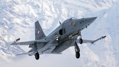 Photo ID 153744 by walter. Switzerland Air Force Northrop F 5E Tiger II, J 3073