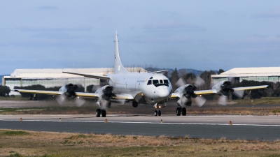 Photo ID 154473 by Marco Casaleiro. Portugal Air Force Lockheed P 3C Orion, 14811