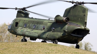 Photo ID 157725 by Mark Broekhans. Netherlands Air Force Boeing Vertol CH 47D Chinook, D 106