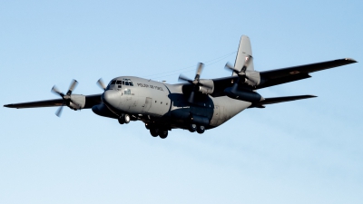 Photo ID 158838 by Luca Bani. Poland Air Force Lockheed C 130E Hercules L 382, 1505