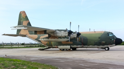 Photo ID 160632 by Marco Casaleiro. Portugal Air Force Lockheed C 130H Hercules L 382, 16804