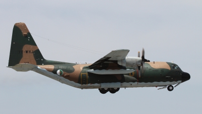 Photo ID 162463 by Kostas D. Pantios. Algeria Air Force Lockheed C 130H Hercules L 382, 7T WHJ