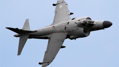 Photo ID 163734 by Johannes Berger. Private Nalls Aviation Inc British Aerospace Sea Harrier FA 2, N94422